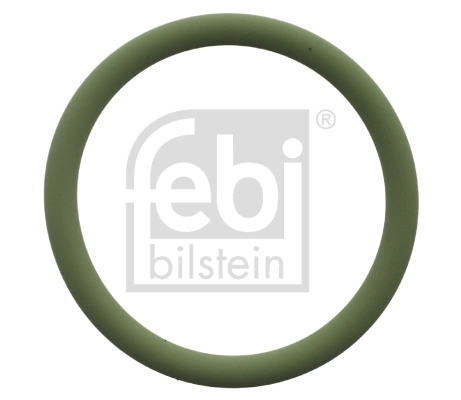 Gasket, coolant flange